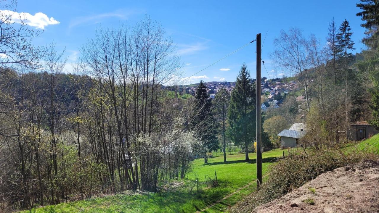 Waldpension Am Koepfchen Kurort Steinbach-Hallenberg Екстериор снимка